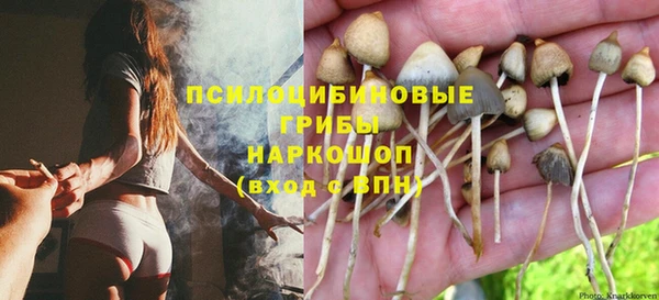 2c-b Медвежьегорск