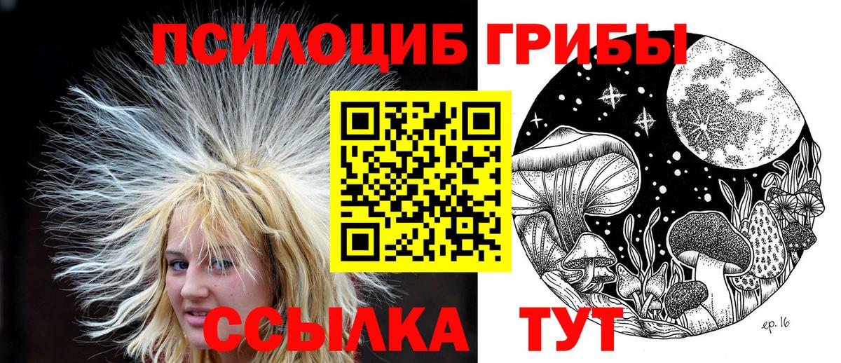 Галлюциногенные грибы мицелий  Вход с VPN  цены   Симферополь 
