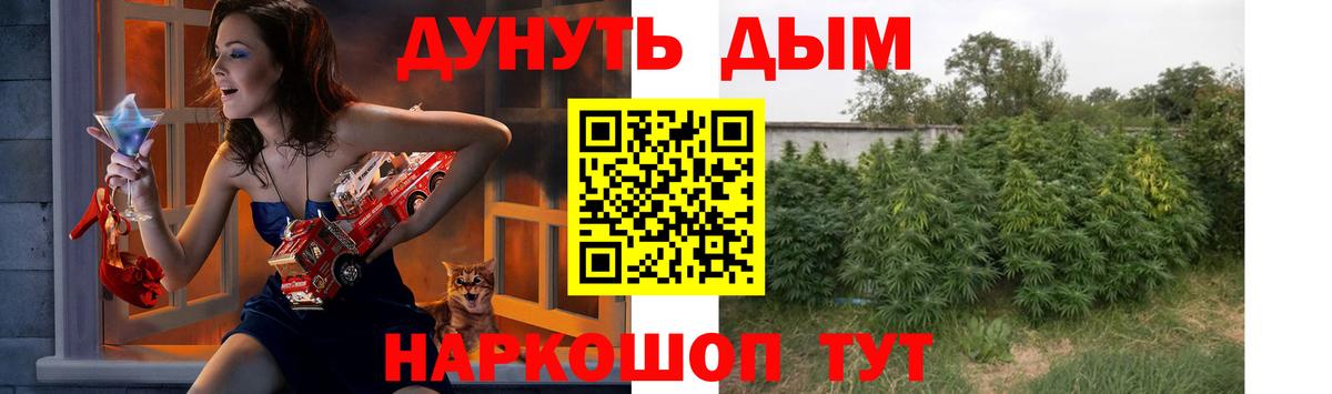 Бошки Шишки семена Симферополь